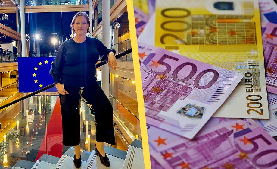 Bakslag för liberalt euro-utspel