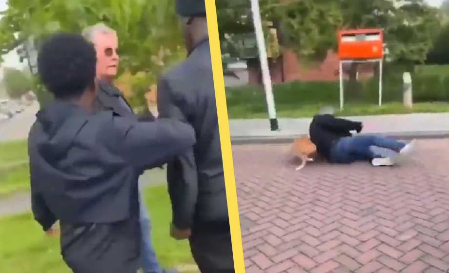 VIDEO: Invandrarungdomar anfaller hundägare