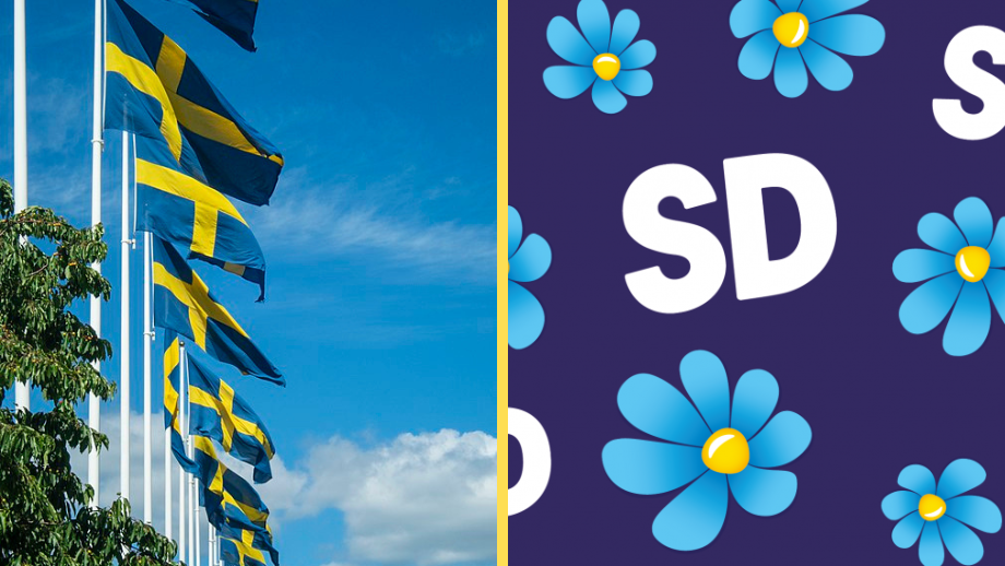 SD-förslag: Gör internationella mansdagen till flaggdag