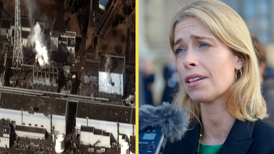 Annika Strandhäll om ny kärnkraft i Sverige: ”Nästa Fukushima”