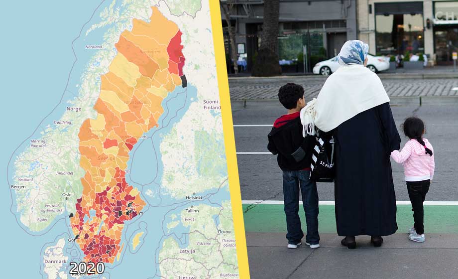 Ny interaktiv karta visar Sveriges demografiska förvandling
