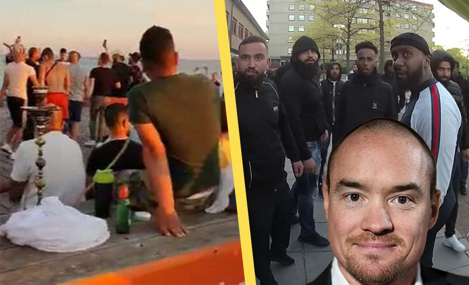 Ekeroth: ”Vi har skapat länder för att leva med likasinnade”