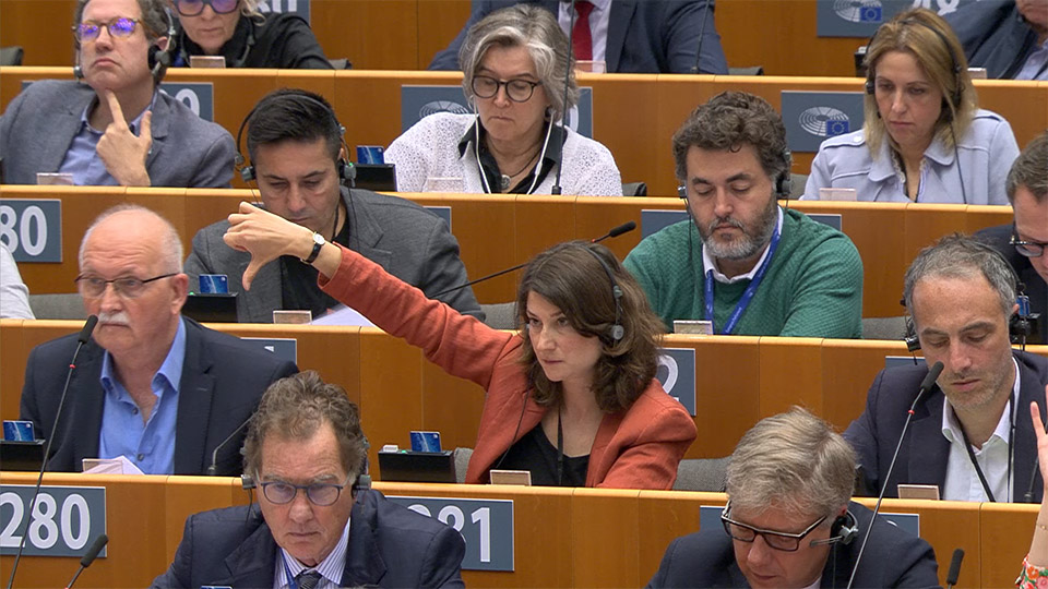 M, KD och L röstade för Ungernfientlig resolution i EU