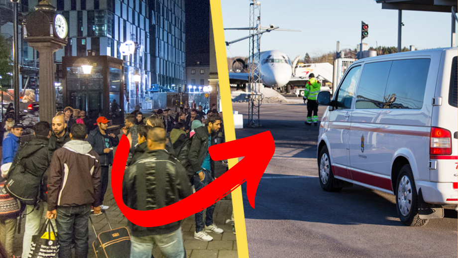 Så många har utvisats i år