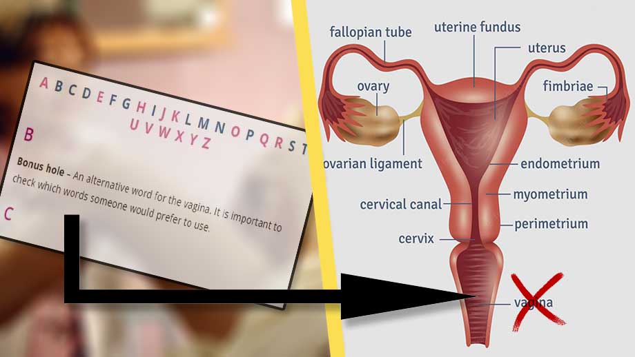Transrörelsens krav: Byt namn på kvinnliga könsorganet till ”bonushål”