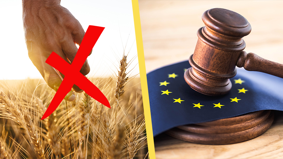 Nu ska EU konfiskera MASSOR av svensk jord- & åkerbruksmark