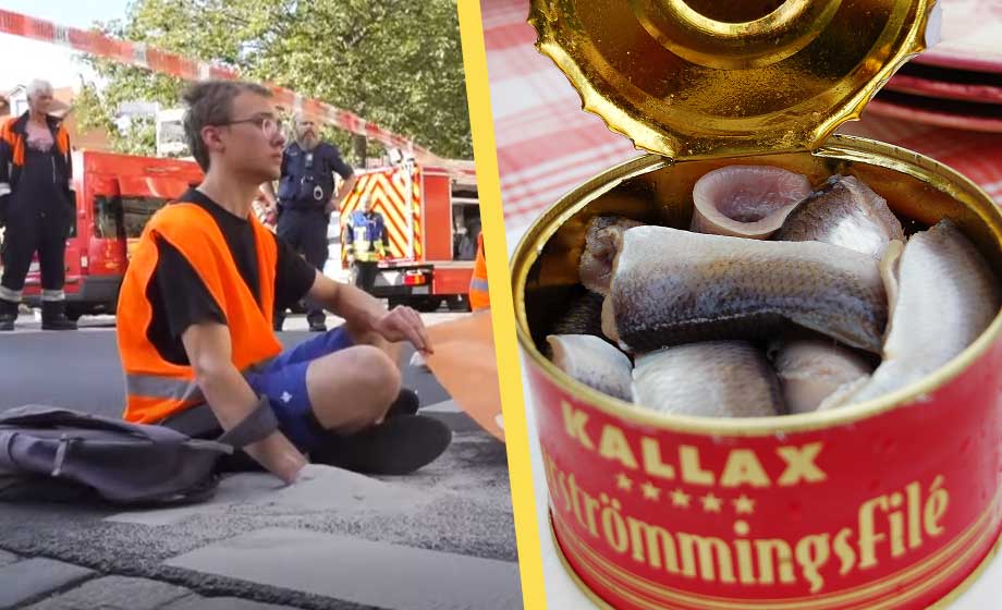 Klimatextremister attackerades med surströmming
