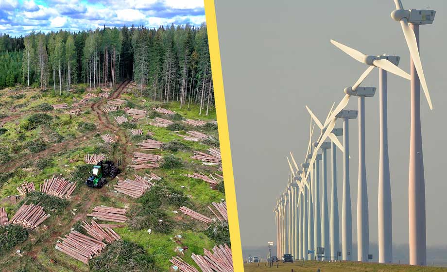 Priset för att bygga vindkraftsparker: 16 miljoner träd