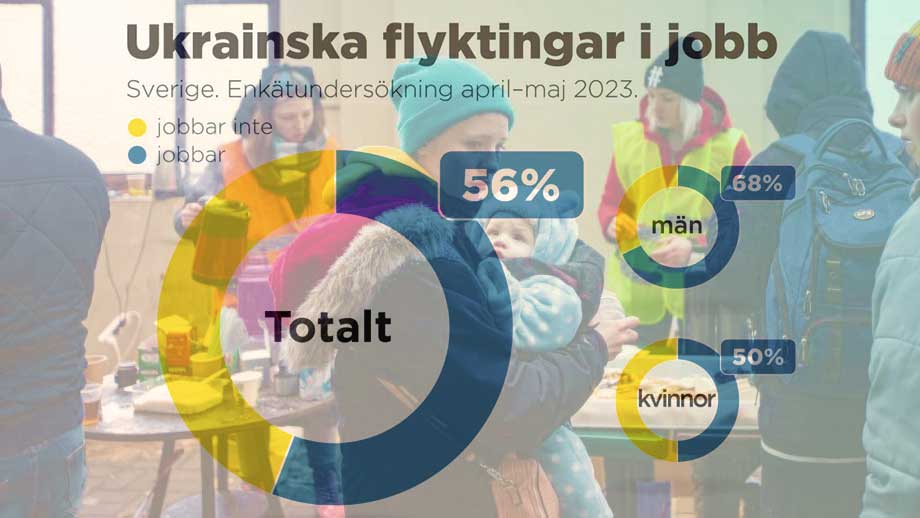 Undersökning: Ukrainska flyktingar kommer snabbt i arbete