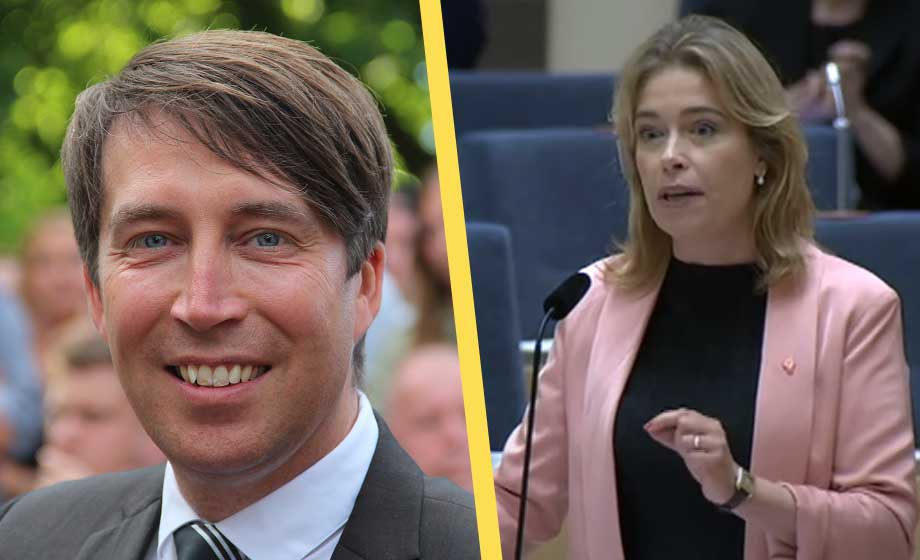 Annika Strandhäll pekar ut sverigedemokrat som kriminell invandrare