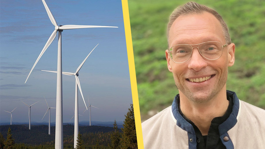 ”Vi tycker det är bra” – ornitologer om stoppade vindkraftsparken