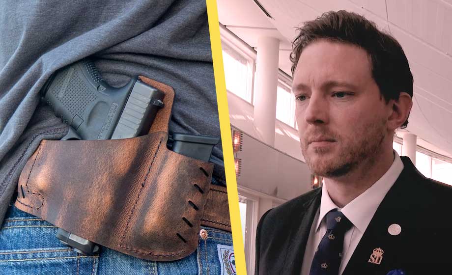 SD-förslag: Låt civila bära vapen