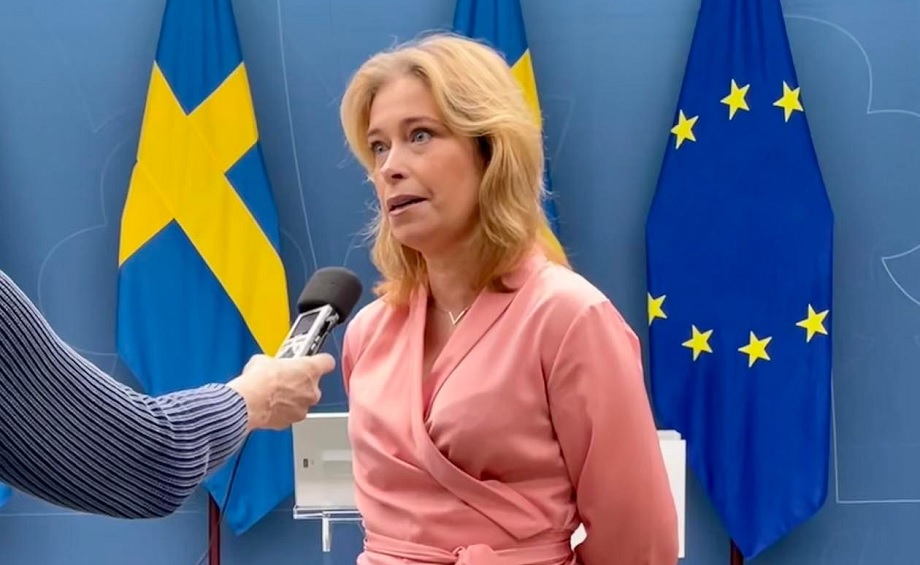 Annika Strandhäll i angrepp mot den politiskt korrekta vänstern