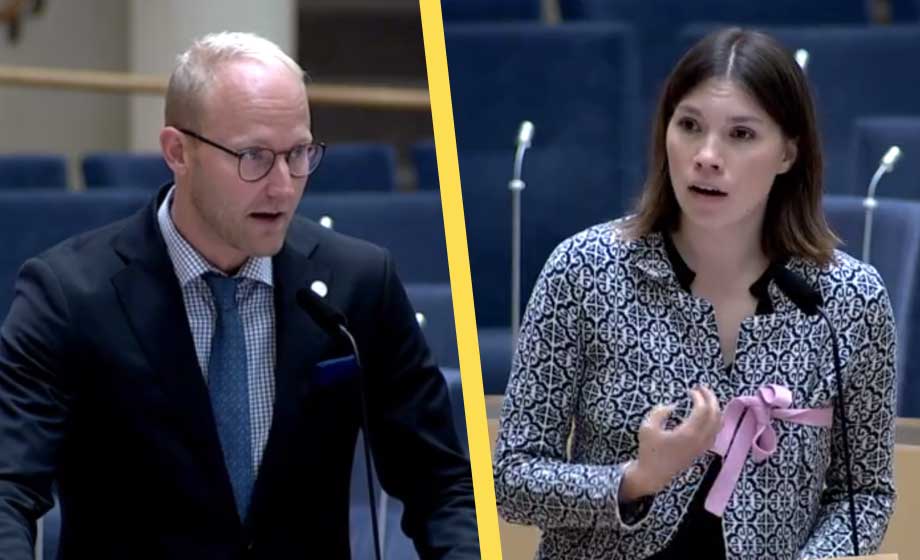 SD: ”Miljöpartister mentalt som små barn”