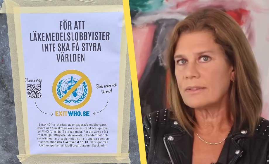 Demonstration mot svenskt WHO-medlemskap