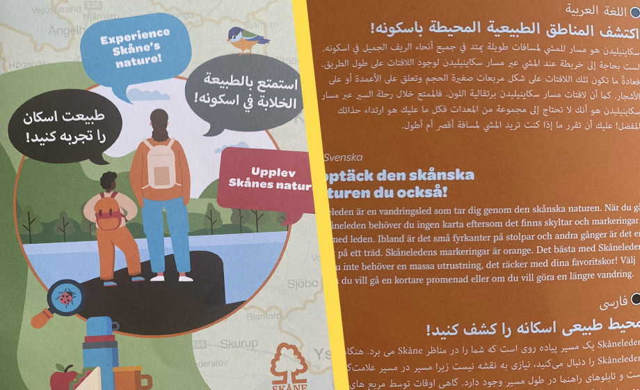 EXKLUSIVT: Broschyr på arabiska och persiska ska locka fler till Skånes natur