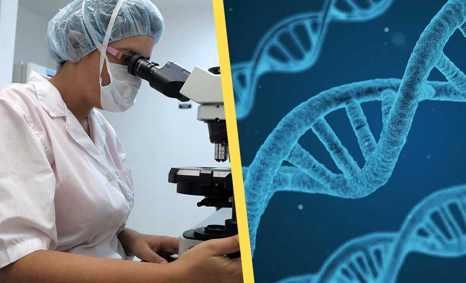 Kinesiska forskare tar fram ny mer effektiv genredigeringsteknik