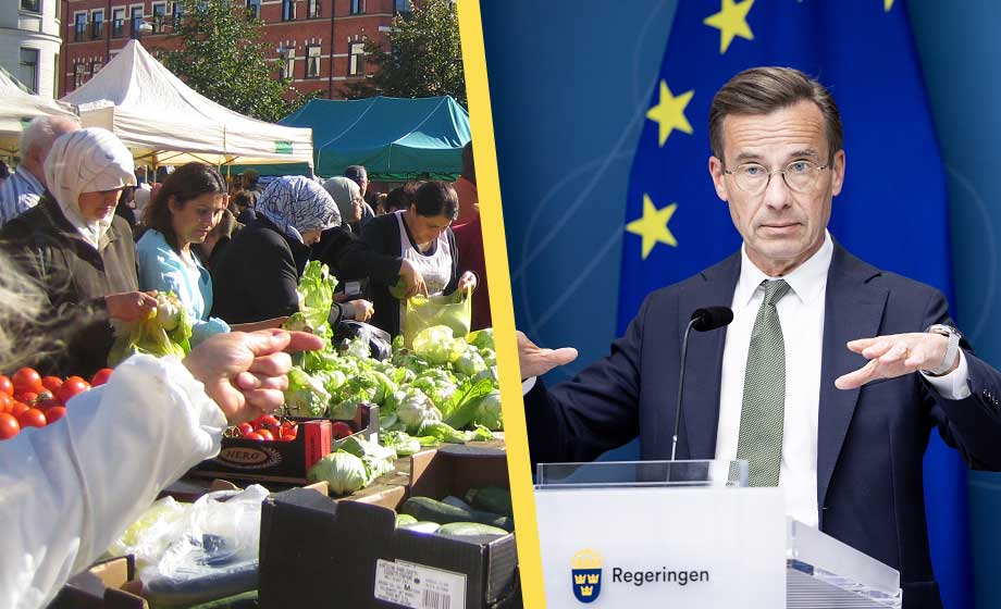 Regeringen: Invandrare stor majoritet bland bidragsmottagare