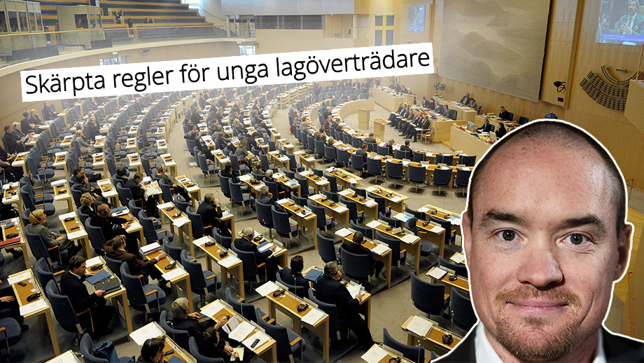 Ekeroth: ”Bra förändringar inom kriminalpolitiken – men för långsamt”