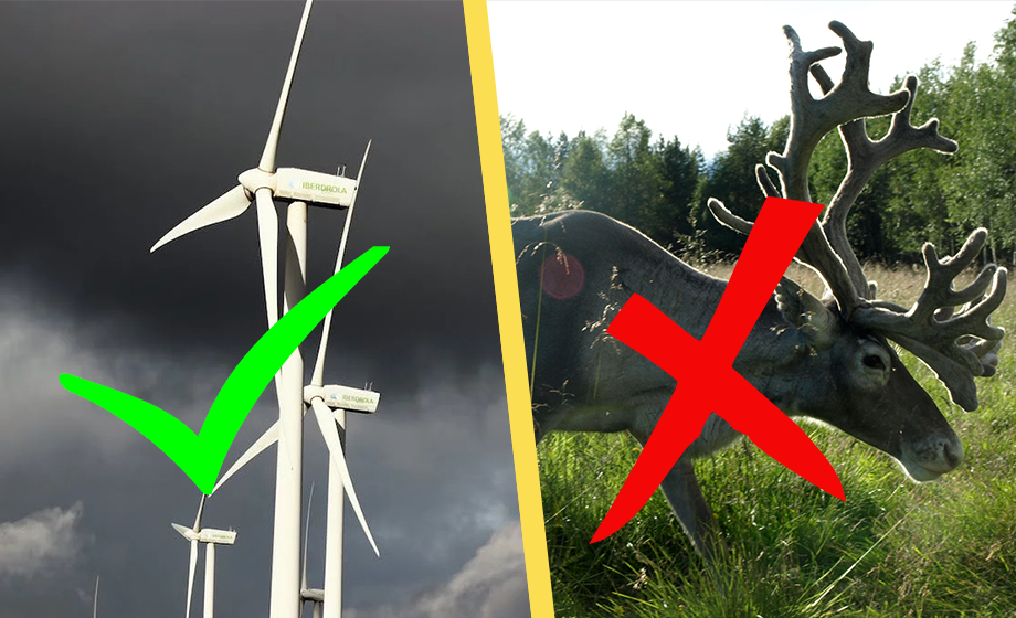 Domstol kör över sameby – ger tillstånd för vindkraftspark