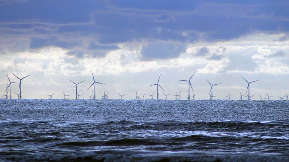 Noll lönsamhet i stora vindkraftsprojekt