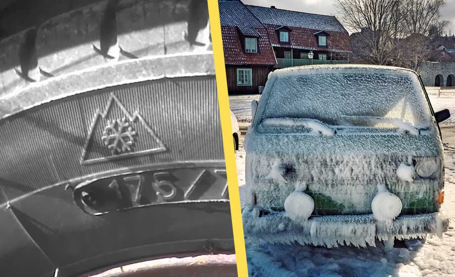 Forskare sågar åretruntdäck