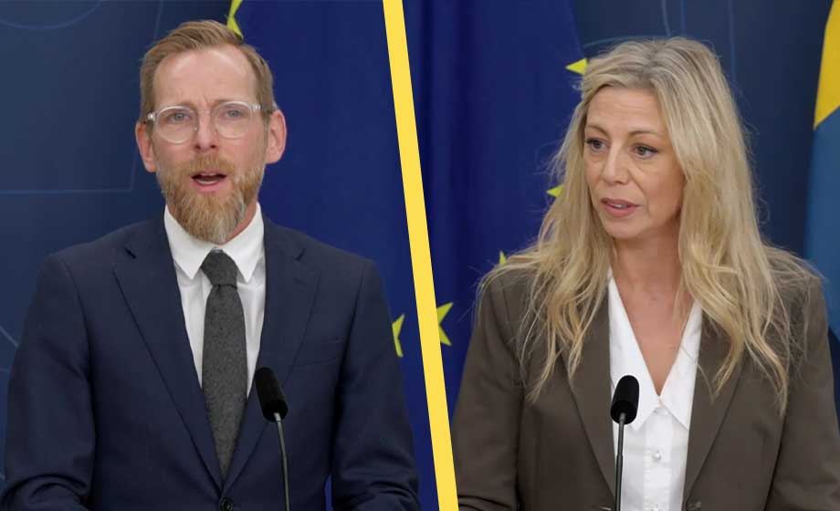 Tidöpartierna: Högkostnadsskydd för tandvård och ingen subvention för illegala