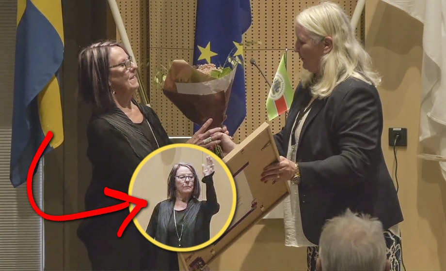 Kulturpris för 150 000 kritiseras efter uppträdande för regionpolitiker