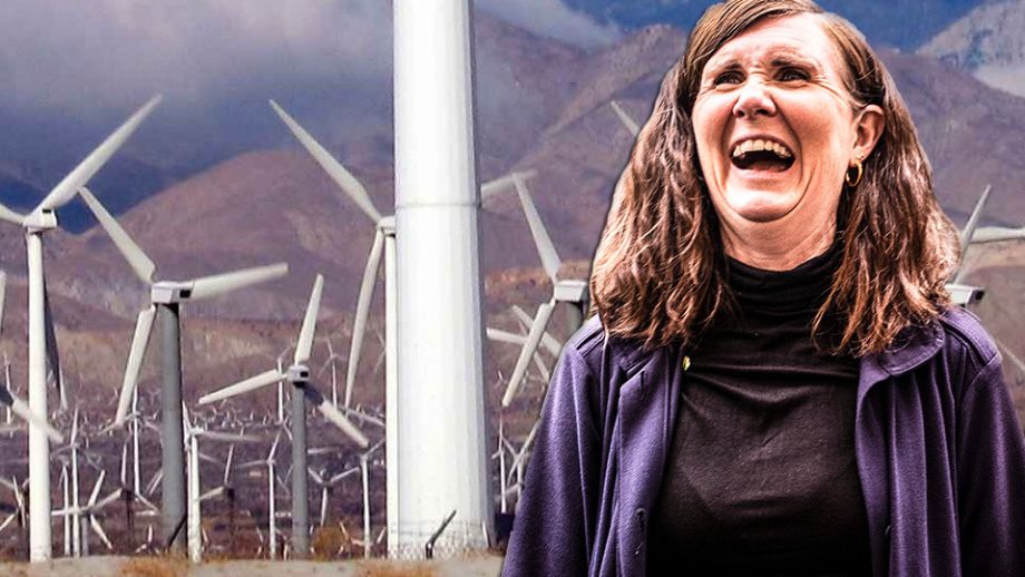 Kartläggning: Svensk vindkraft nära konkurs