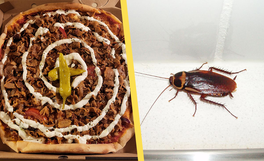 Pizzeria misstänks ha serverat död kackerlacka – anmäls