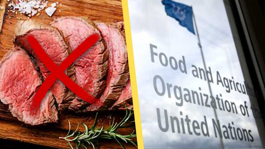 FN-planen: Inget kött på tallriken i framtiden