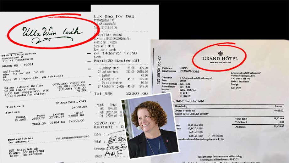 Socialdemokraterna höjde skatten – spenderade pengarna på sig själva