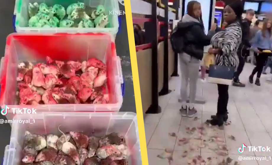 VIDEO: Hamassympatisör hämnades på Israel – med möss på McDonald’s