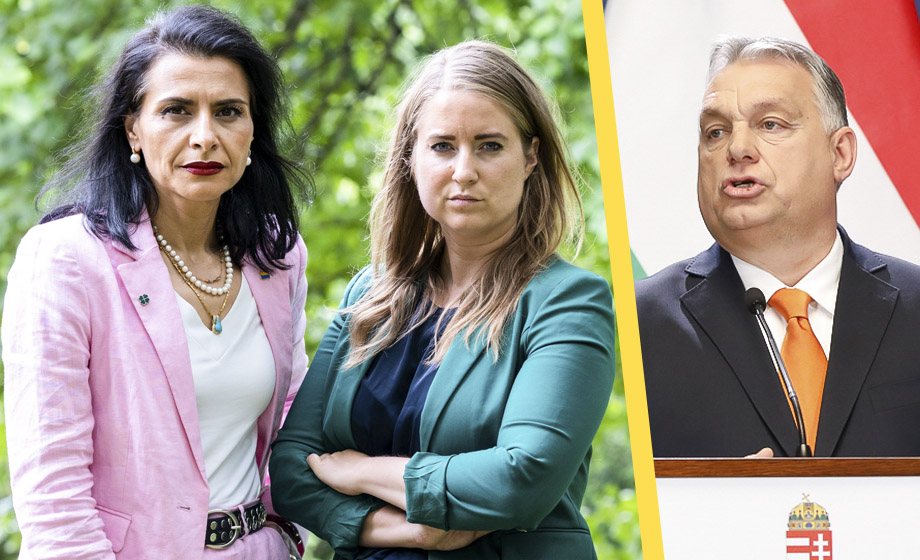 C-kravet: Isolera Ungern från EU – kallar Orban ”mansgris”