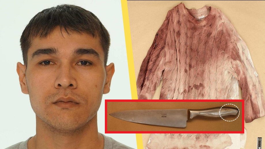 Ensamkommande afghan trängde sig in hos 75-årig kvinna – rånmördade henne med kniv