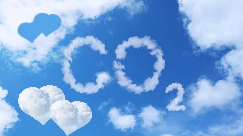 Klimatforskare: Vi borde välkomna högre CO2-nivåer