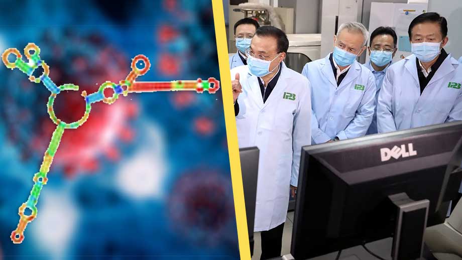 Kinesiskt labb sekvensade covid-viruset flera veckor innan pandemin bröt ut