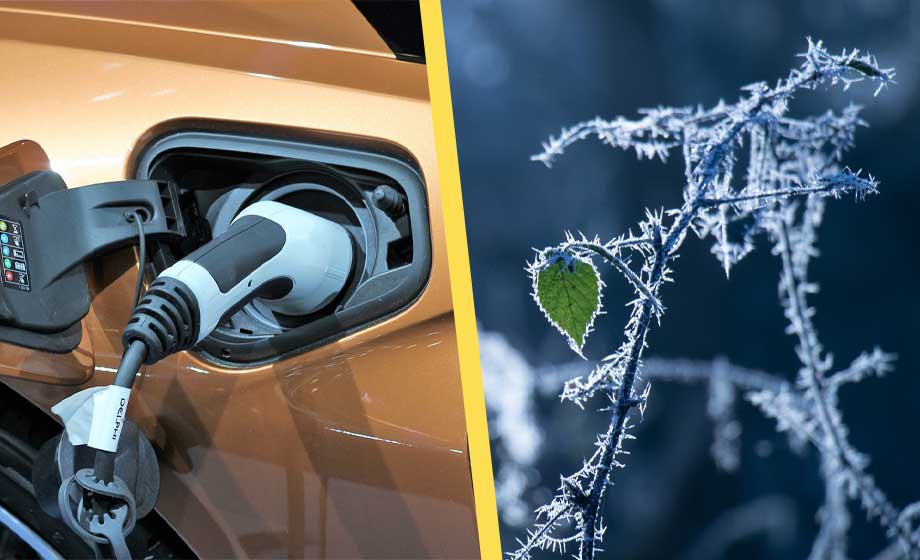 EU: Inga krav på att elbilars räckvidd i vinterkyla ska redovisas