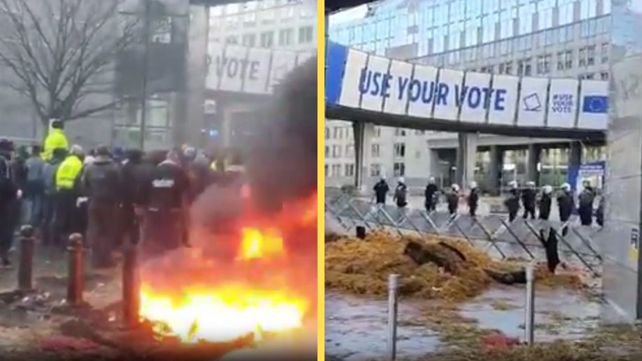 Bondeupproret sprider sig i Europa – protester vid EU-parlamentet