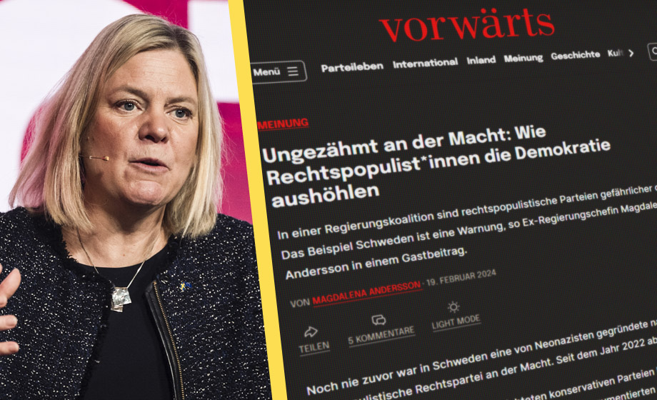 Magdalena Andersson i tysk media: Åkesson vill riva alla moskéer