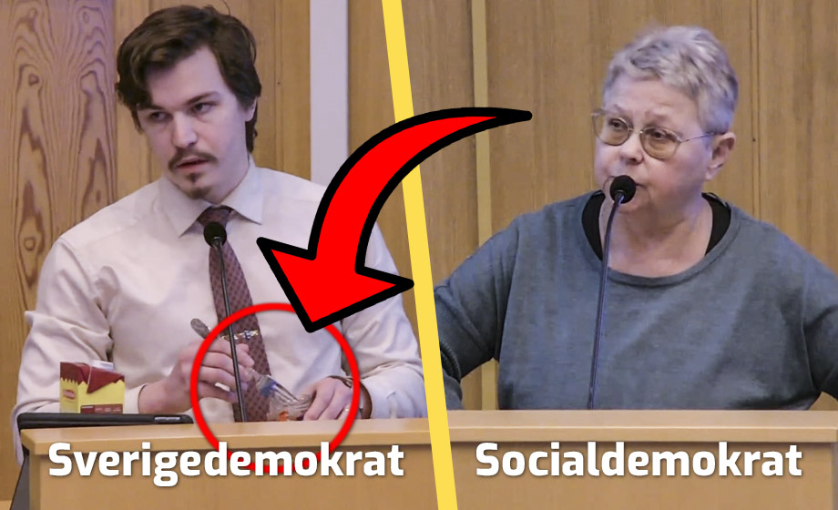 SD-politikerns sillkupp mot S för språkbrister i äldreomsorgen