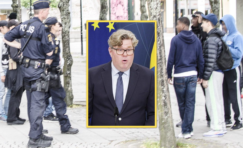 Regeringen vill införa visitationszoner nästa månad