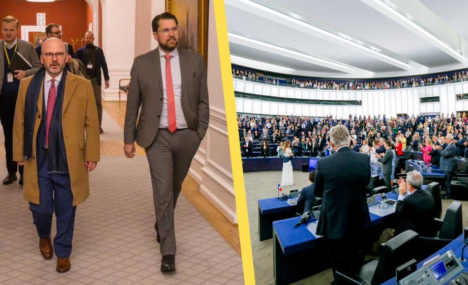 SD: Vi sätter Sverige först i EU
