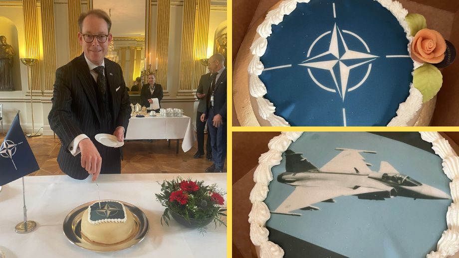 M och L firar Nato med tårta: ”Upprättar och bevarar fred”