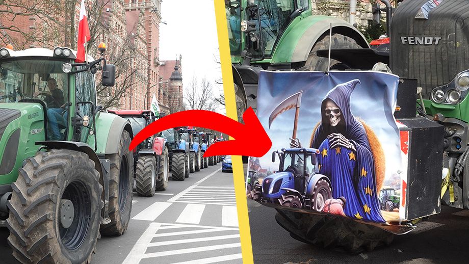 Bondeprotesterna växer i Polen: ”Det är inte lönt att skörda”