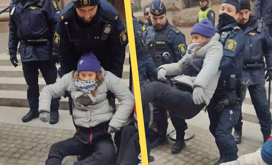 Polisen bar bort Greta från riksdagen