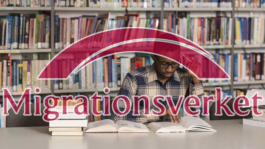 Rapport: Fusk med uppehållstillstånd för studier långt värre än befarat