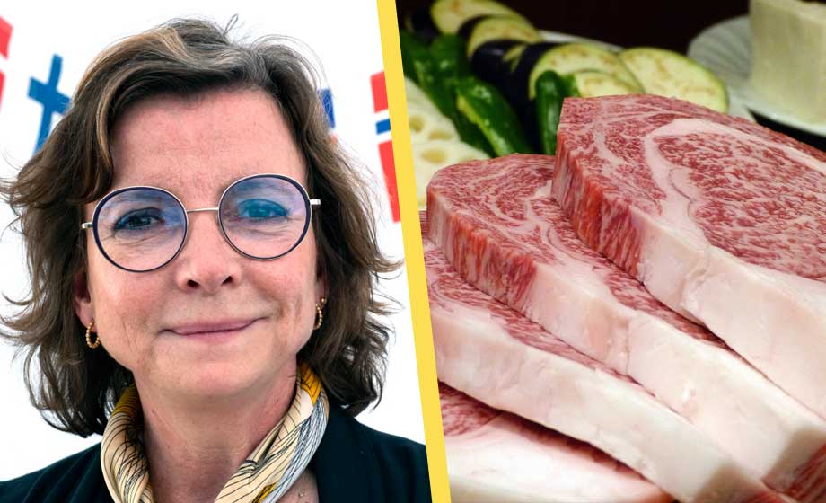 Nordiska ministerrådet vill beskatta kött