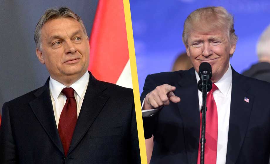 Orban: Trump kommer inte ge ett öre till Ukraina