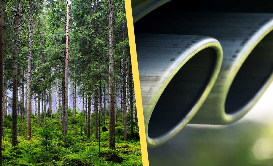 Studie: Ökad mängd CO2 bra för miljön – gör planeten grönare